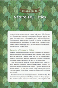 Chapter 13 of City Safari
